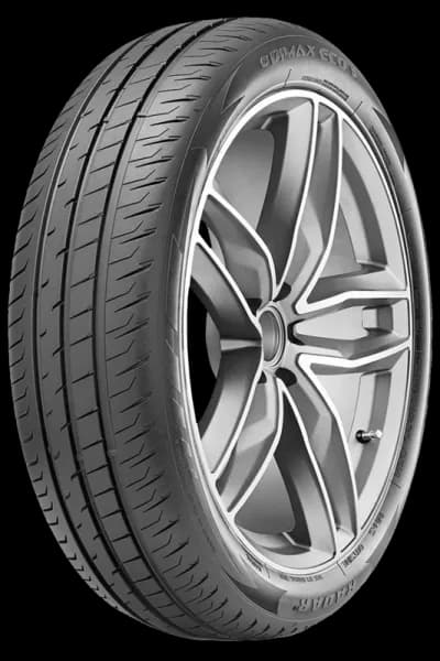 Radar 195/55 R20 95H Dimax Eco XL