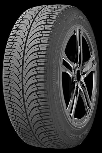 Arivo 155/65 R13 73T Carlorful A/S